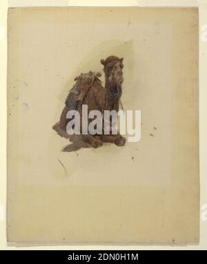 Crouching Dromedary, Frederic Edwin Church, American, 1826–1900, Öl auf Karton, Vertikale Zeichnung. Das hockende Tier ist schräg von vorne dargestellt und isoliert ohne Hintergrund., USA, 1868, Figuren, Zeichnung Stockfoto