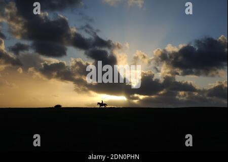 Pferd und Reiter im Schatten eines bewölkten Sonnenuntergangs auf den South Downs, Sussex, Großbritannien. Stockfoto