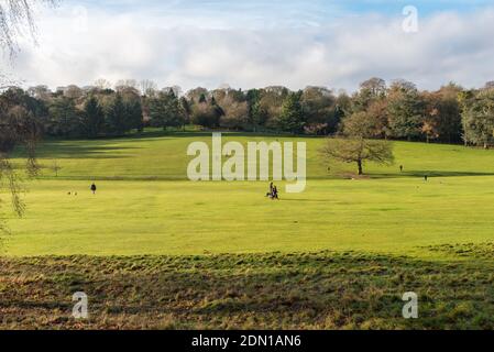 Sonniger Wintertag in Warley Woods in den West Midlands In der Nähe von Birmingham Stockfoto