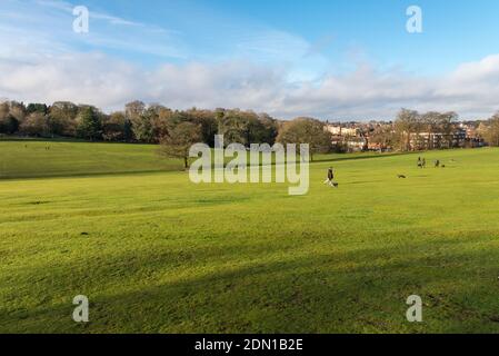 Sonniger Wintertag in Warley Woods in den West Midlands In der Nähe von Birmingham Stockfoto