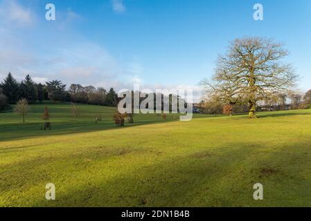 Sonniger Wintertag in Warley Woods in den West Midlands In der Nähe von Birmingham Stockfoto