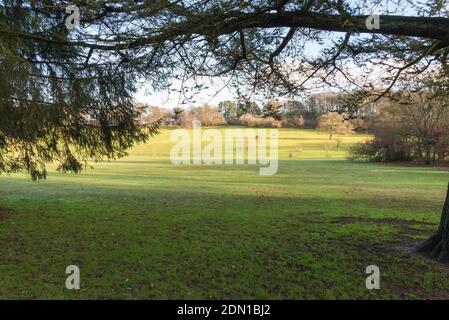 Sonniger Wintertag in Warley Woods in den West Midlands In der Nähe von Birmingham Stockfoto