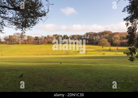 Sonniger Wintertag in Warley Woods in den West Midlands In der Nähe von Birmingham Stockfoto