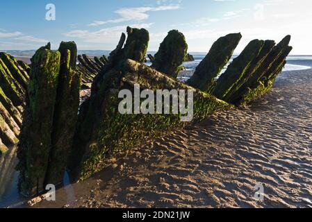 Die Holzreste des Wracks der norwegischen Barke SS Nornen (1897) am Strand von Berrow Flats in Somerset, England, bei Ebbe. Stockfoto