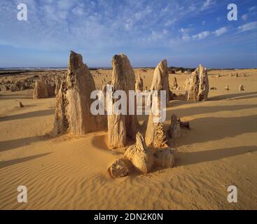 Australien. Westaustralien. Namburg Nationalpark. Die Felsformationen der Pinnacles. Stockfoto