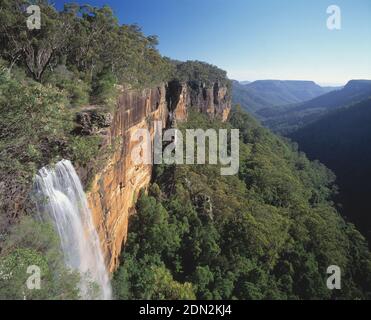 Australien. New South Wales. Morton National Park. Fitzroy Falls. Stockfoto
