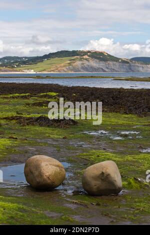 Blick über die Lyme Bay bei Ebbe mit den freiliegenden Felsvorsprüngen im Vordergrund und die Jurassic Coast in der Ferne an einem Sommertag. Stockfoto