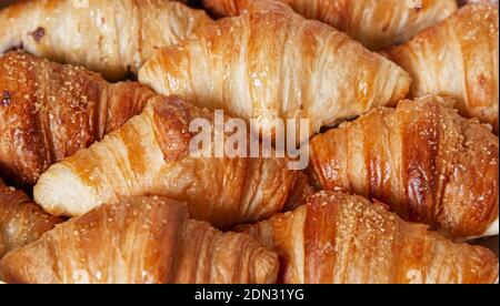 Mini-Croissants gefüllt mit Schokolade. Isoliert Bild Stockfoto