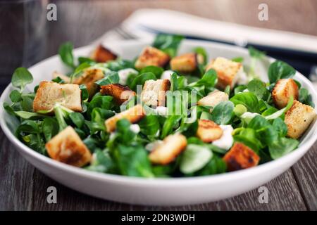 Köstlicher caesar Salat mit hausgemachten Croutons und Dressing. Stockfoto