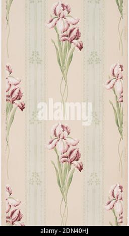 Sidewall, Machine-printed paper, Floral stripe pattern with iris flowers on stems alternating with green stripe containing petite floral motifs strung together., USA, 1905–1915, Wallcoverings, Sidewall Stock Photo