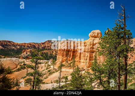 Hoodoos und erodierte Sandsteinformationen entlang der Wanderwege Queen's Garden und Navajo Loop im Bryce Canyon National Park in Utah. Stockfoto