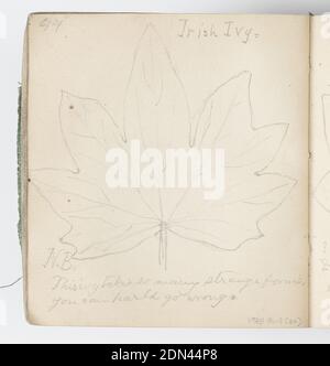 Skizzenbuch-Seite: Irish Ivy Leaves, Kenyon Cox, amerikanisch, 1856–1919, Graphit auf Papier, Recto: Drei Skizzen von Blättern., Verso: Große Skizze eines Efeublattes., USA, 1874, Alben (gebunden) & Bücher, Skizzenbuch-Folio, Skizzenbuch-Folio Stockfoto