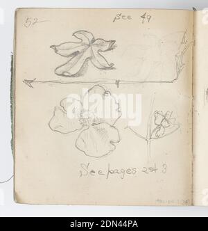 Skizzenbuch Seite: Bracket Supports, Niagara, Kenyon Cox, American, 1856–1919, Graphit auf Papier, Recto: Skizzen von Bracket Supports von der Seite und oben., Verso: Skizze von fünfzackigem Blatt, oben; Skizze von Blume mit drei Blütenblättern, unten., USA, 1874, Alben (gebunden) & Bücher, Skizzenbuch-Folio, Skizzenbuch-Folio Stockfoto