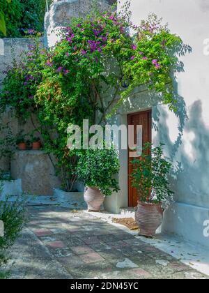 Ein violetter Bougainvillea und zwei Gläser reichen aus, um Zweifel zu säen: Hof oder Garten? Ein winziger Parterre in der Ecke, geschützt vor der Sonne, Anafiotika, Athen. Stockfoto