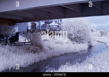 Ein Blick auf den Taunton- und Bridgwater-Kanal in Taunton im Sommer zeigt eine neue Wohnsiedlung mit Blick auf den Kanal. Stockfoto