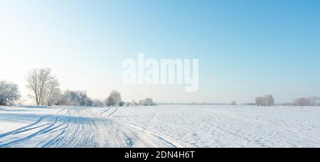 Schneebedecktes Winterfeld mit Bäumen und Straße, die zum Horizont führt. Winterlandschaft. Schöne Winterlandschaft. Stockfoto