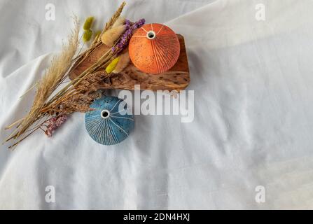 Zwei schöne kleine Keramikvasen mit Holzstämmen und getrockneten Blumen auf weißem Hintergrund. Keramik Geschirr, Wohnkultur. Draufsicht, Kopierbereich. Stockfoto