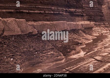 Infrarotbild, aufgenommen bei Ebbe des felsigen Vorgebirges der Jurassic unter den Klippen am Kilve Beach, Somerset, England, Großbritannien Stockfoto