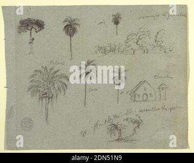 Skizzen aus dem Rio Magdalene, Kolumbien: Botanical Studies and a Church, Frederic Edwin Church, American, 1826–1900, Graphit auf grauem Papier, Horizontales Rechteck: Isoliert und eine Gruppe von Bäumen und Pflanzen, über die obere Reihe; drei Palmen mit Fassade und Kirchturm, in der Mitte; Und ein Baum und eine Pflanze am Hang, unten., USA, Mai 1853, Naturstudien, Zeichnung Stockfoto