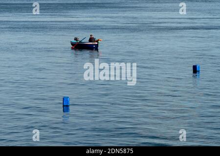 Setubal, Portugal - 17 December, 2020: fisherman checking his traps and catching octopus near Setubal on the Sado River Estuary Stock Photo