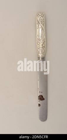 Chrysantheme, Tiffany & Company, amerikanisch, gegründet 1853, Silber, New York, New York, USA, 1880–91, Besteck, Dekorative Künste, Essmesser, Essmesser Stockfoto