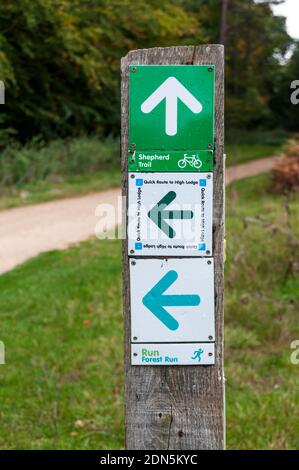Wegweiser oder Wegweiser für Routen in der High Lodge im Thetford Forest Park. Stockfoto