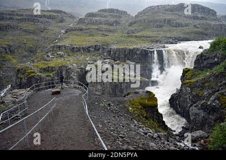 Ein schwarz getragener Rüde steht hinter Geländern im Aussichtsgebiet für Nykurhylsfoss (Sveinsstekksfoss) in der Nähe von Djupivogur in den Ostfjorden Islands. Stockfoto