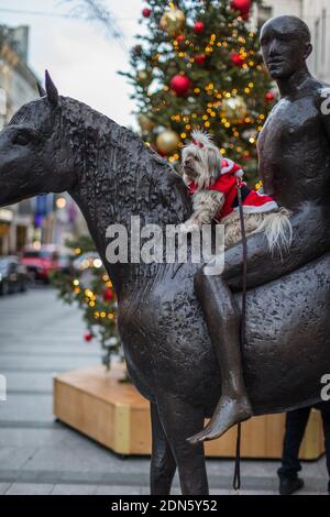 Ein niedlicher kleiner Hund auf dem Pferderücken einer Statue in Mayfair, London. Stockfoto