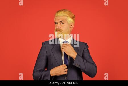 Fixierung der Krawatte. Bärtiger ceo Grooming. Blonder Hüpfer mit gefärbtem Barthaar. Professioneller Business Manager. Eleganter Mann stylisches Kostüm. Reifer Geschäftsmann, der die Entscheidung trifft. Ernster und konzentrierter Chef. Stockfoto