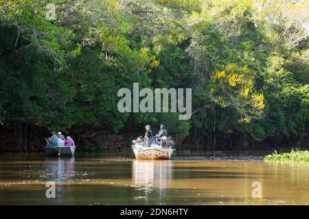 Touristen auf der Suche nach Jaguaren auf einem Corixo in der Nähe des Flusses Três Irmãos, Pantanal von Mato Grosso, Brasilien Stockfoto