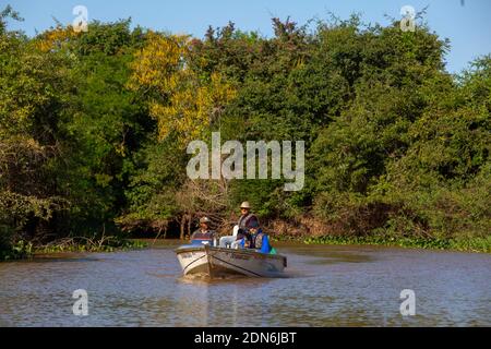 Touristen auf der Suche nach Jaguaren auf dem Fluss Três Irmãos, Pantanal von Mato Grosso, Brasilien Stockfoto