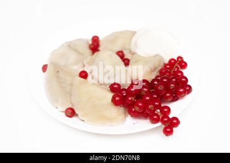 Köstliche Knödel mit frischen roten Johannisbeeren und saurer Sahne, serviert mit Sauerrahm, Schlagsahne, Beeren und Zucker oder Sauce. Auf einem weißen Teller, Tisch Stockfoto