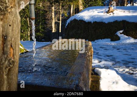 Wasser sprudelt aus einem Brunnen im Wald, unglaubliche Winter Märchen Bild, Winter Bild, läuft klares Wasser auf dem Hügel Stockfoto