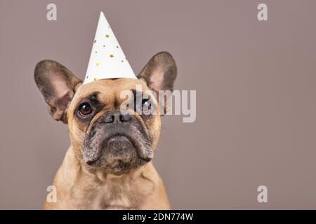 Portrait von Französisch Bulldog Hund trägt weißen Party Feier Hut Vor braunem Hintergrund mit Kopierbereich Stockfoto