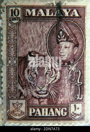 Die Briefmarke aus der Kolonialzeit aus dem malaysischen Pahang State zeigt einen Tiger, der dann oft in den Regenwaldwäldern der malaiischen Halbinsel anzutreffen war Stockfoto