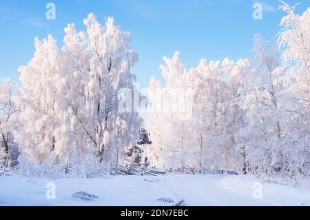 Kurvenreiche Landstraße durch wunderschöne Winterlandschaft. Stockfoto
