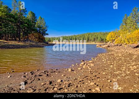 Große Felsbrocken säumen die Küste einer Lagune auf der Südwestseite des Dogtown Lake in der Nähe von Williams Arizona. Diese Lagune ist Teil von Dogtown Wash That Stockfoto