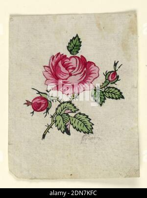 Holzschnitt Probedruck für bedrucktes Textil, Pinsel und Gouache auf weißem Papier, ROSENBLÜTE mit zwei Knospen, mit Blättern auf einem Stiel., Frankreich, 1790–1800, Textildesigns, Zeichnung Stockfoto