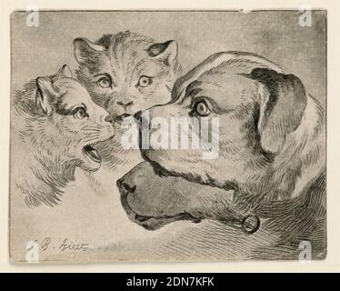 Köpfe der Katzen und Hunde, Jean-Baptiste Huët, (Französisch, 1745–1811), Aquatint in grau-schwarzer Tinte auf Papier, Köpfe von zwei Katzen Gesicht Köpfe von zwei Hunden., Frankreich, ca. 1775, Drucken Stockfoto