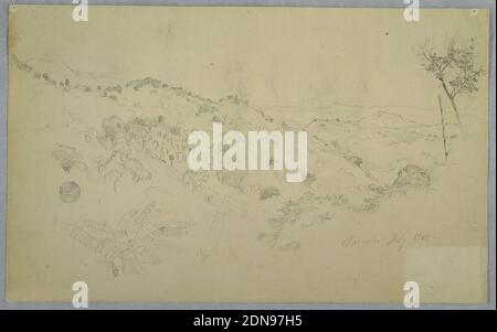 Wooded Vale with a Large Fern and Distant Mountain Ranges, Jamaica, Frederic Edwin Church, American, 1826–1900, Graphit auf cremefarbenem schwerem Wobentpapier, Horizontale Ansicht mit schräg gezogenem und nach rechts gezogenem bewaldeten Tal, Bergketten in der Ferne, Und eine Pflanze mit großen Blättern unten links., Jamaika, Juli 1865, Landschaften, Zeichnung Stockfoto