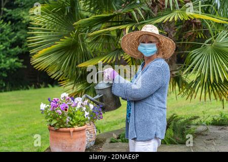 Frau, die Pflanzen und Blumen im Garten wässern und eine Gesichtsmaske während der Coronavirus Covid-19 Pandemie im Lockdown trägt Stockfoto