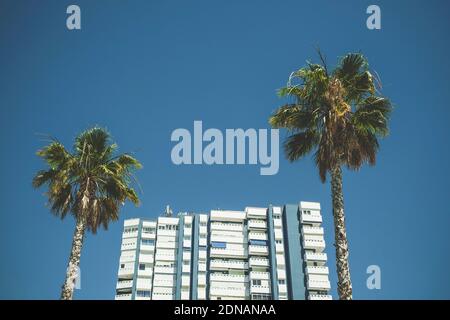 Apartmentgebäude und zwei Palmen gegen Blue Sky Stockfoto