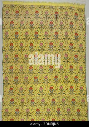 Shawl, Medium: wool Technique: tapestry weave, Shawl made of two pieces joined together and finished on the long sides with narrow green braid, and on the short sides, with yellow embroidered and fringed fabric. Pattern is red, pink, blue and green upright flowers and vines on a yellow ground., India, 18th century, costume & accessories, Shawl Stock Photo