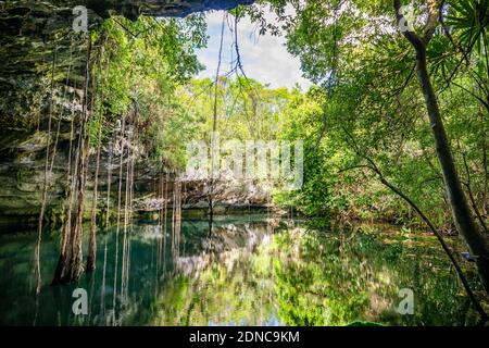 Landschaftlich schöne Aussicht auf Cenotes Höhlen mit Süßwasser in Mexiko Perfekter Ort zum Schwimmen Stockfoto