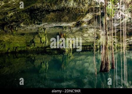 Landschaftlich schöne Aussicht auf Cenotes Höhlen mit Süßwasser in Mexiko Perfekter Ort zum Schwimmen Stockfoto