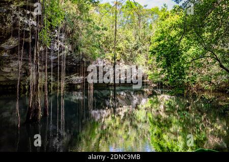 Landschaftlich schöne Aussicht auf Cenotes Höhlen mit Süßwasser in Mexiko Perfekter Ort zum Schwimmen Stockfoto