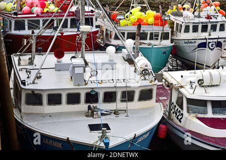 Ein Nahbereich von Hummer Fischerbooten angedockt Der warf in Alma New Brunswick Kanada Stockfoto