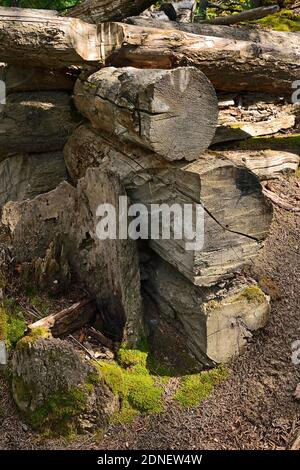 Eine Blockhütte, die im 17. Jahrhundert entlang des Athabasca Flusses im Jasper Nationalpark gebaut wurde, der eine wichtige Reiseroute in dieser Zeit war Stockfoto