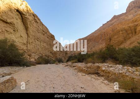 Wüstenberge in ein Gedi National Nature Reserve, Israel Stockfoto