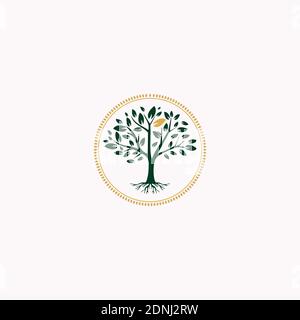 Goldener Baum des Lebens Stempelsiegel Emblem Eiche Banyan Ahorn Logo-Design Stock Vektor